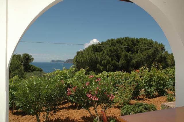 Vacanza Isola d'Elba: Appartamenti del Lustrino App. nr. 6